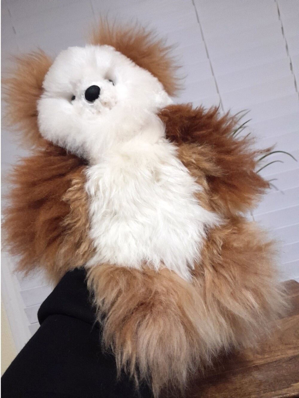 Alpaca fur super soft fluffy cloud feel teddy bear 13"